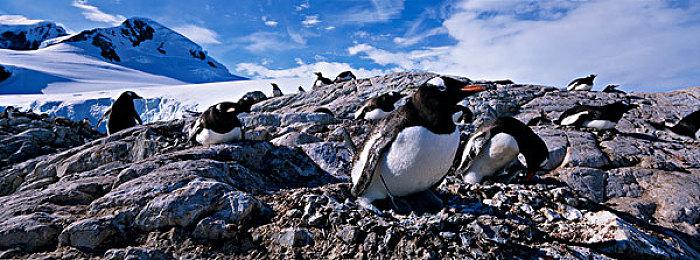 2Game双十一震撼大促：Steam各类3A大作与独立游戏，最高可享95%折扣！